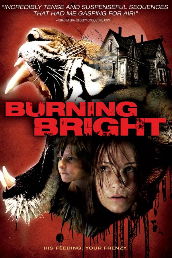 burningbrightdvd.jpg