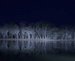 lakemungo11
