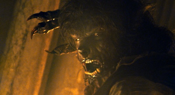 wolfman14