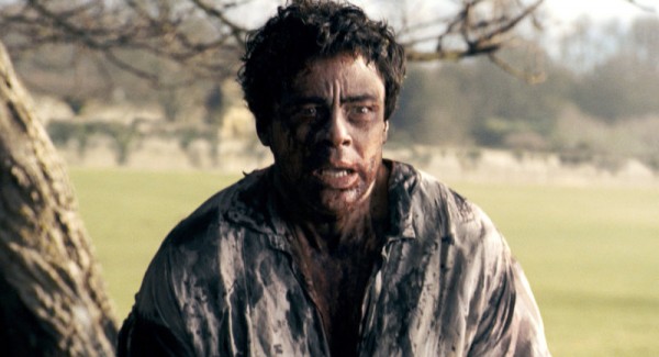 wolfman23