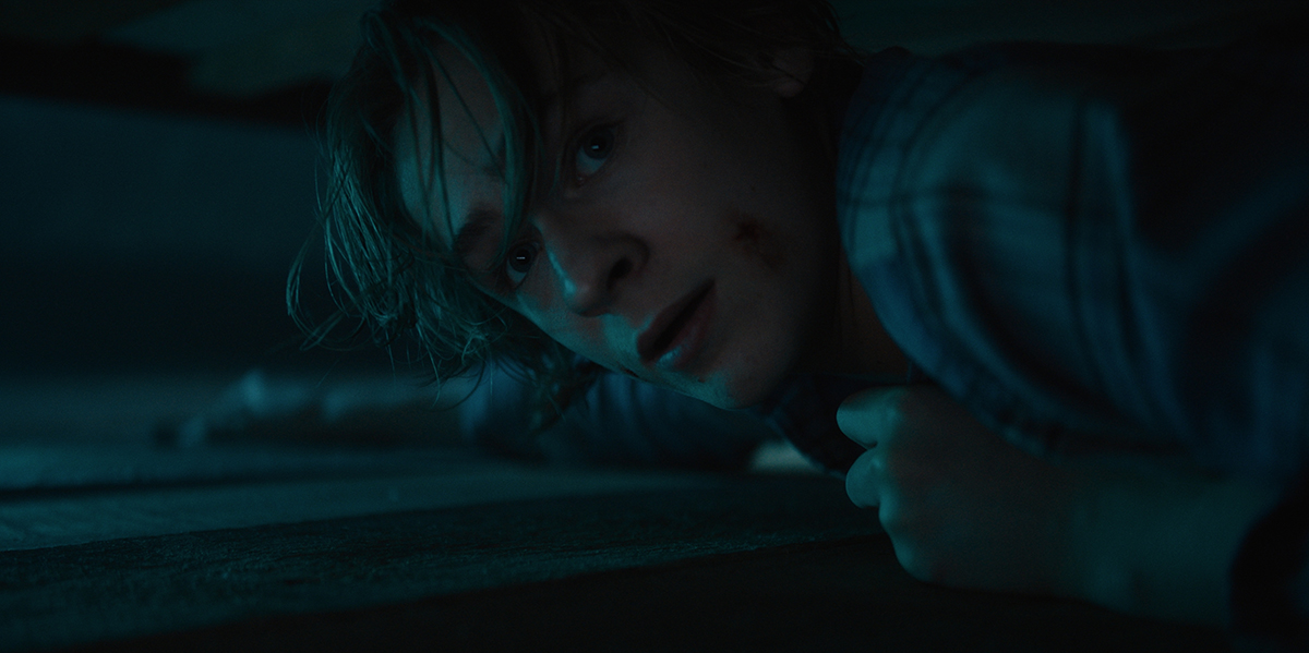 The Arborist Uhm Upcominghorrormovies